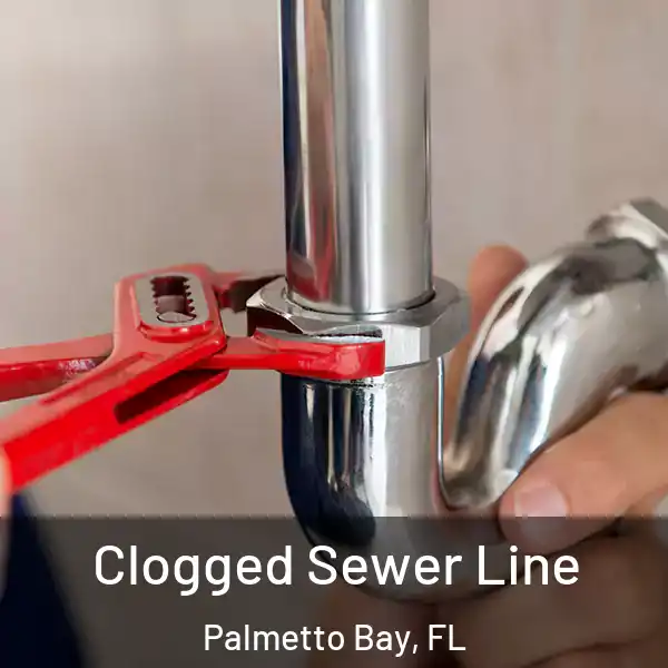  Clogged Sewer Line Palmetto Bay, FL