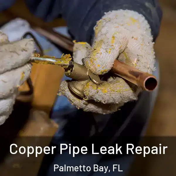  Copper Pipe Leak Repair Palmetto Bay, FL