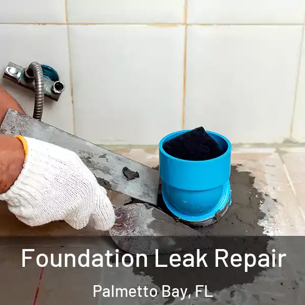  Foundation Leak Repair Palmetto Bay, FL