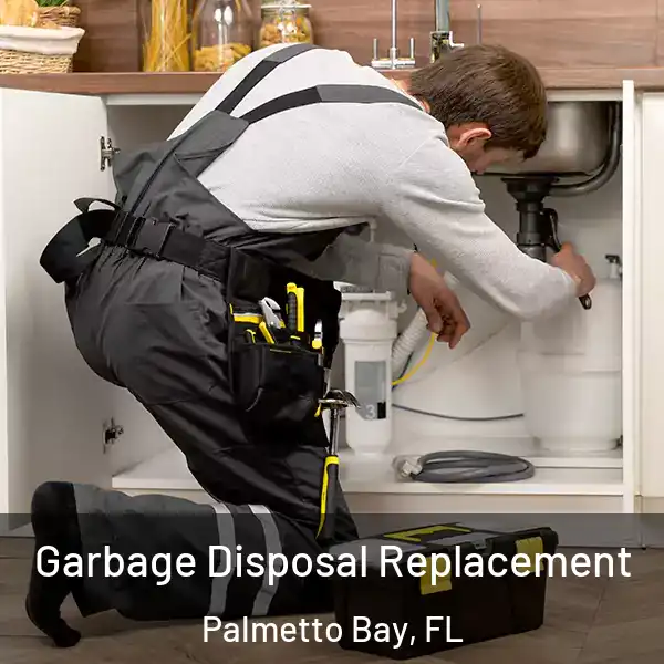  Garbage Disposal Replacement Palmetto Bay, FL