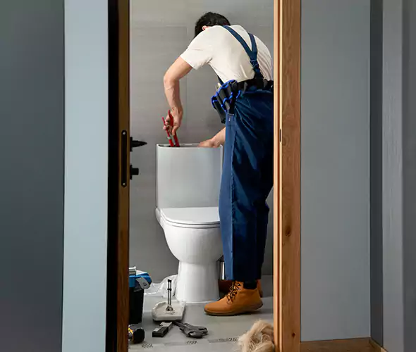 Professional Plumbers for Toilet Bowl Replacement in Palmetto Bay, FL: Schedule Affordable Toilet Replacement Services With Us