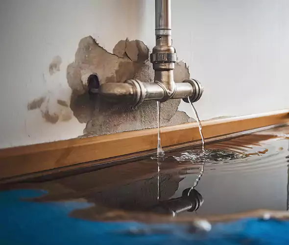 Professional Water Damage Restoration Experts in Palmetto Bay, FL — Fast, Reliable & Certified