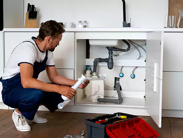 Why Choose Palmetto Bay Plumbers for Insinkerator Installation in Palmetto Bay, FL?