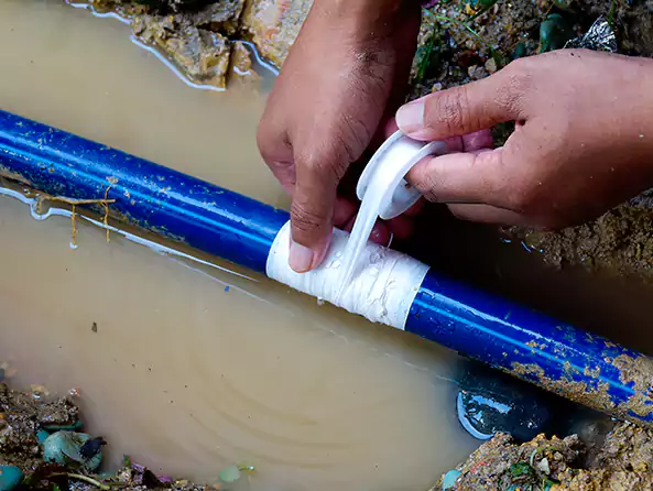  Why Choose Palmetto Bay Plumbers for Leak Detection in Palmetto Bay, FL?]