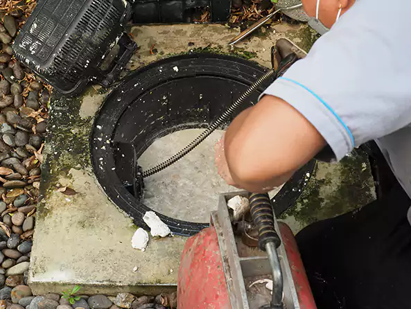 Why Choose Palmetto Bay Plumbers for Sewer Line Cleaning in Palmetto Bay, FL?