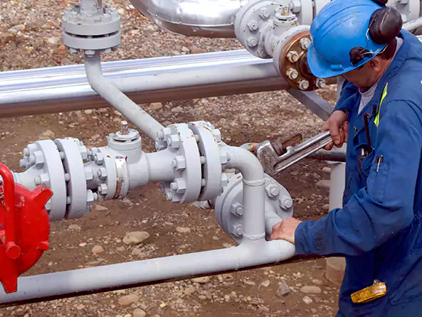 Why Choose Palmetto Bay Plumbers for Trenchless Sewer Line Repair in Palmetto Bay, FL?