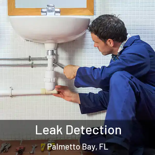  Leak Detection Palmetto Bay, FL