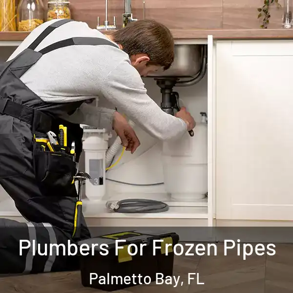  Plumbers For Frozen Pipes Palmetto Bay, FL