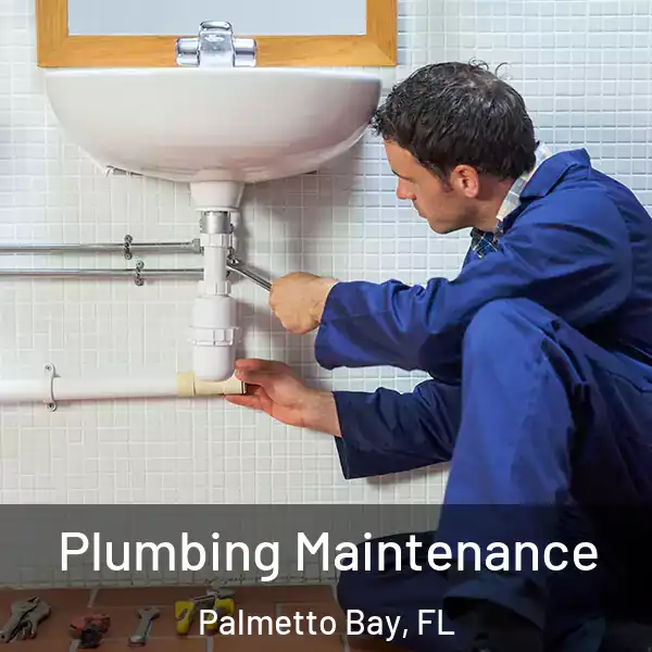  Plumbing Maintenance Palmetto Bay, FL