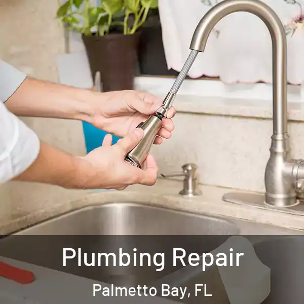  Plumbing Repair Palmetto Bay, FL
