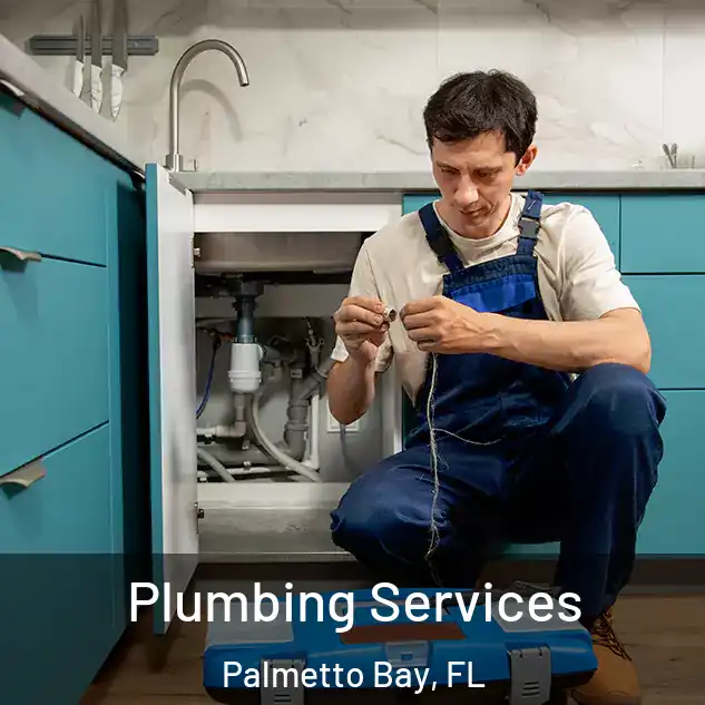  Plumbing Services Palmetto Bay, FL