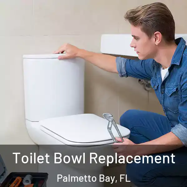  Toilet Bowl Replacement Palmetto Bay, FL