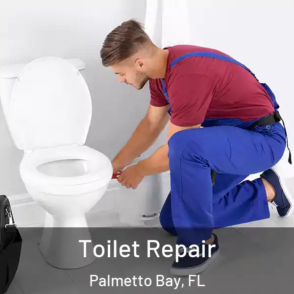  Toilet Repair Palmetto Bay, FL