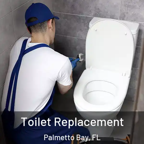 Toilet Replacement Palmetto Bay, FL