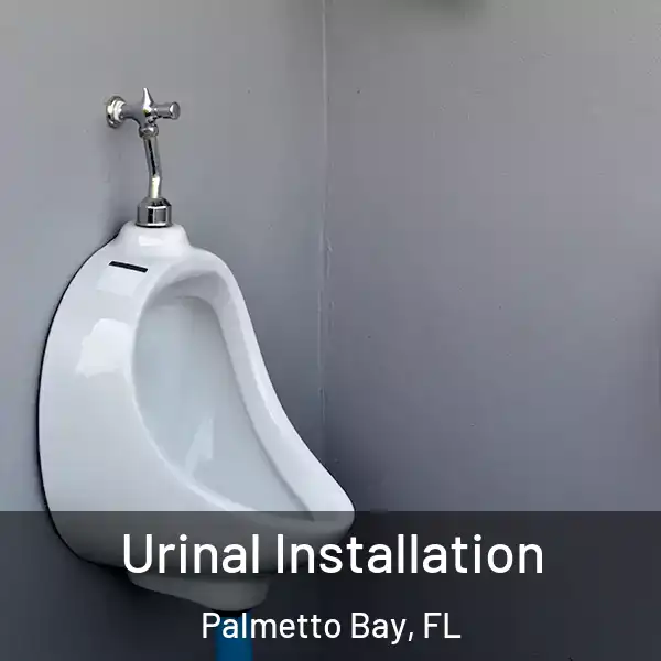  Urinal Installation Palmetto Bay, FL
