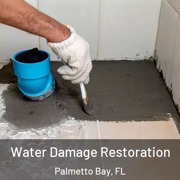  Water Damage Restoration Palmetto Bay, FL