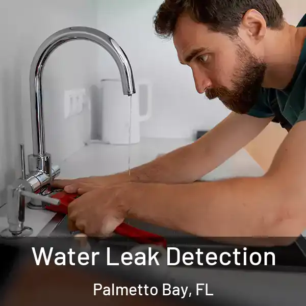  Water Leak Detection Palmetto Bay, FL