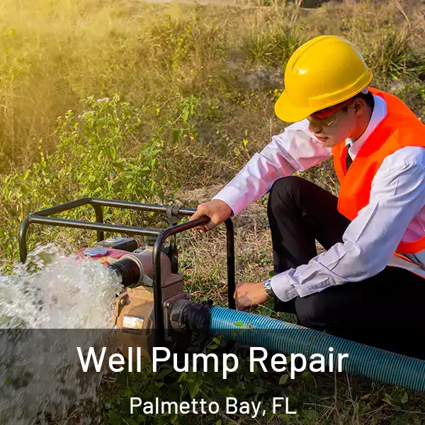  Well Pump Repair Palmetto Bay, FL